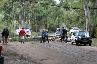 Noticias Santa Teresita